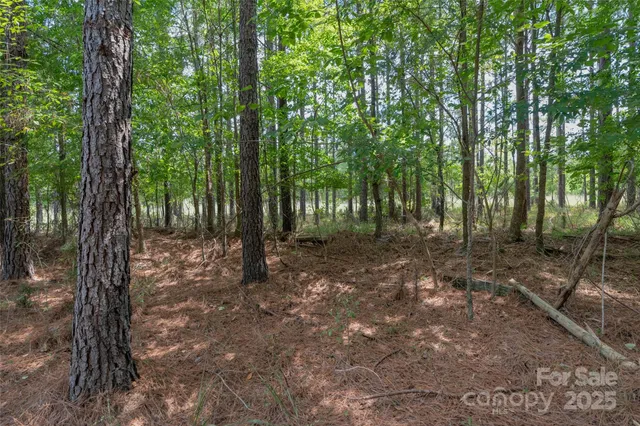 $685,000 | 0 Old Windmill Road, Ridgeway, SC 29130