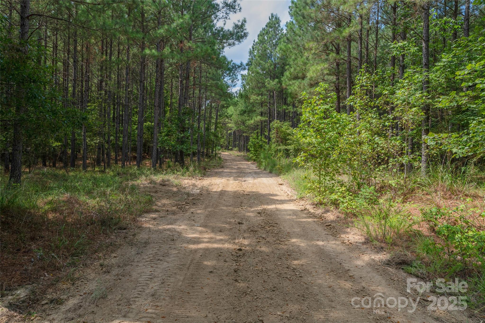 0 Old Windmill Road Ridgeway, SC 29130 - Photo 42 of 46