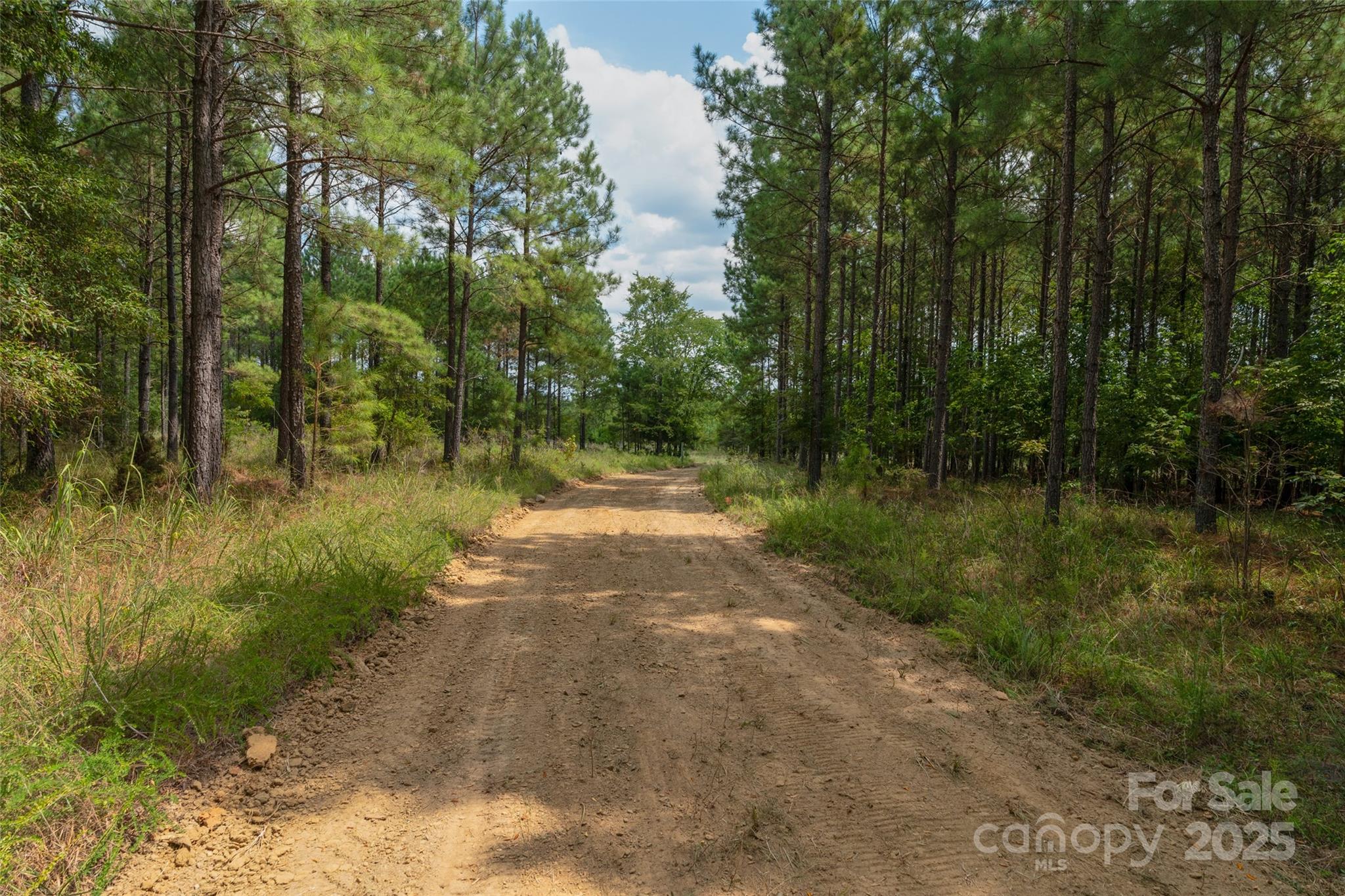 0 Old Windmill Road Ridgeway, SC 29130 - Photo 5 of 46