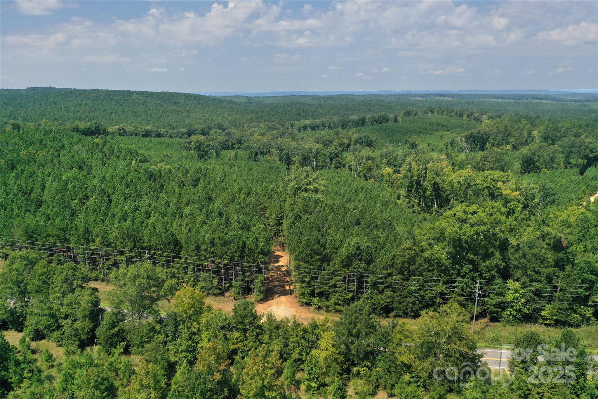 0 Old Windmill Road Ridgeway, SC 29130 - Photo 6 of 46