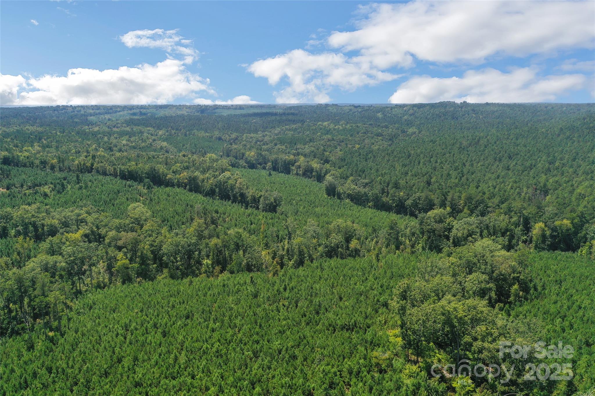 0 Old Windmill Road Ridgeway, SC 29130 - Photo 7 of 46