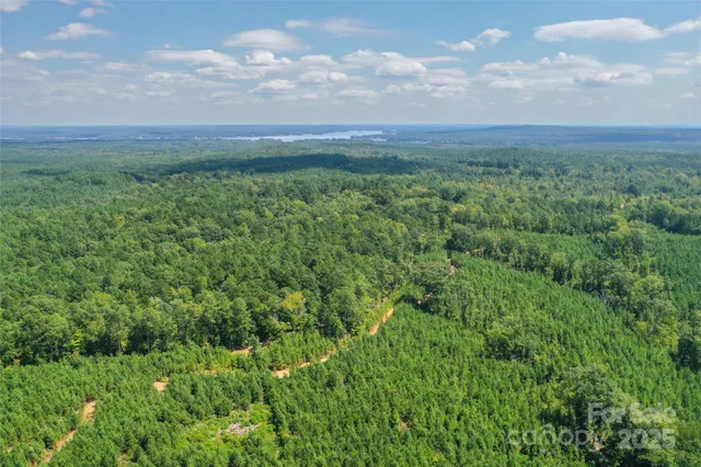 $685,000 | 0 Old Windmill Road, Ridgeway, SC 29130