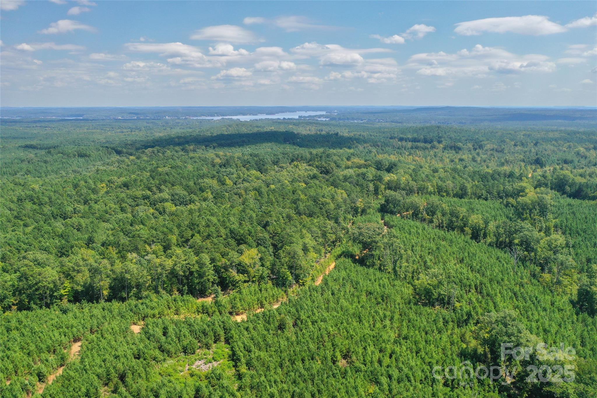 0 Old Windmill Road Ridgeway, SC 29130 - Photo 8 of 46