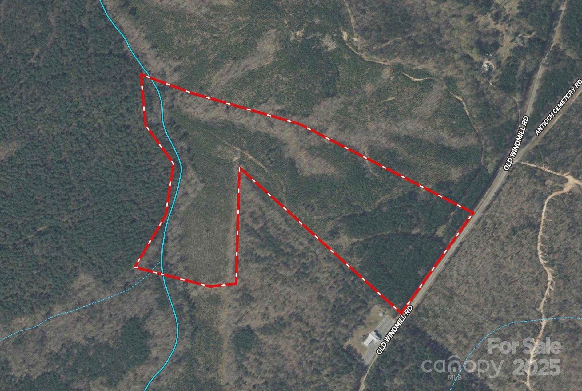 0 Old Windmill Road Ridgeway, SC 29130 - Photo 9 of 46