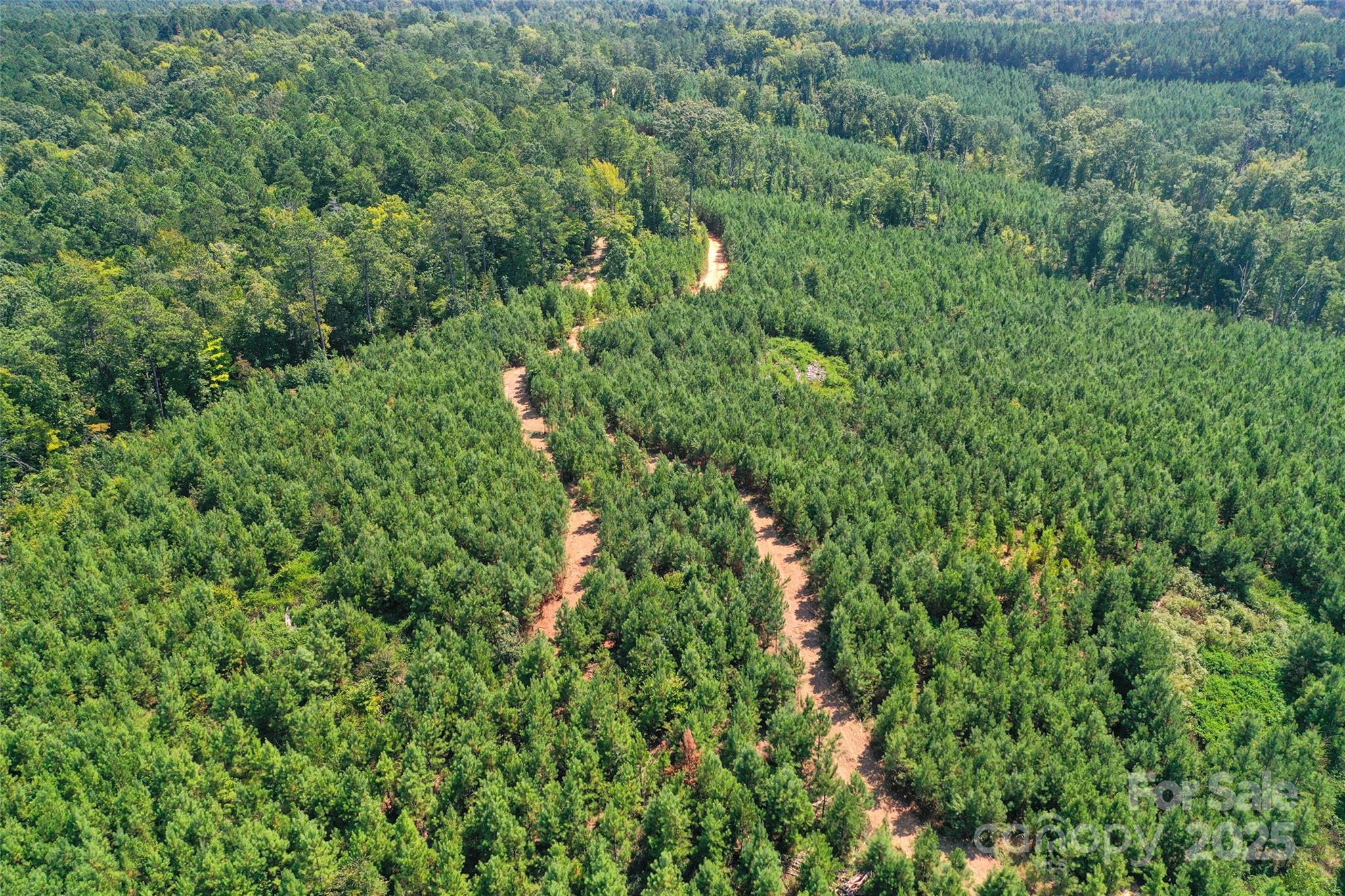 0 Old Windmill Road Ridgeway, SC 29130 - Photo 10 of 46