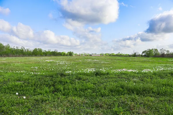 $499,000 | 1115 Farm To Market 1462, Rosharon, TX 77583