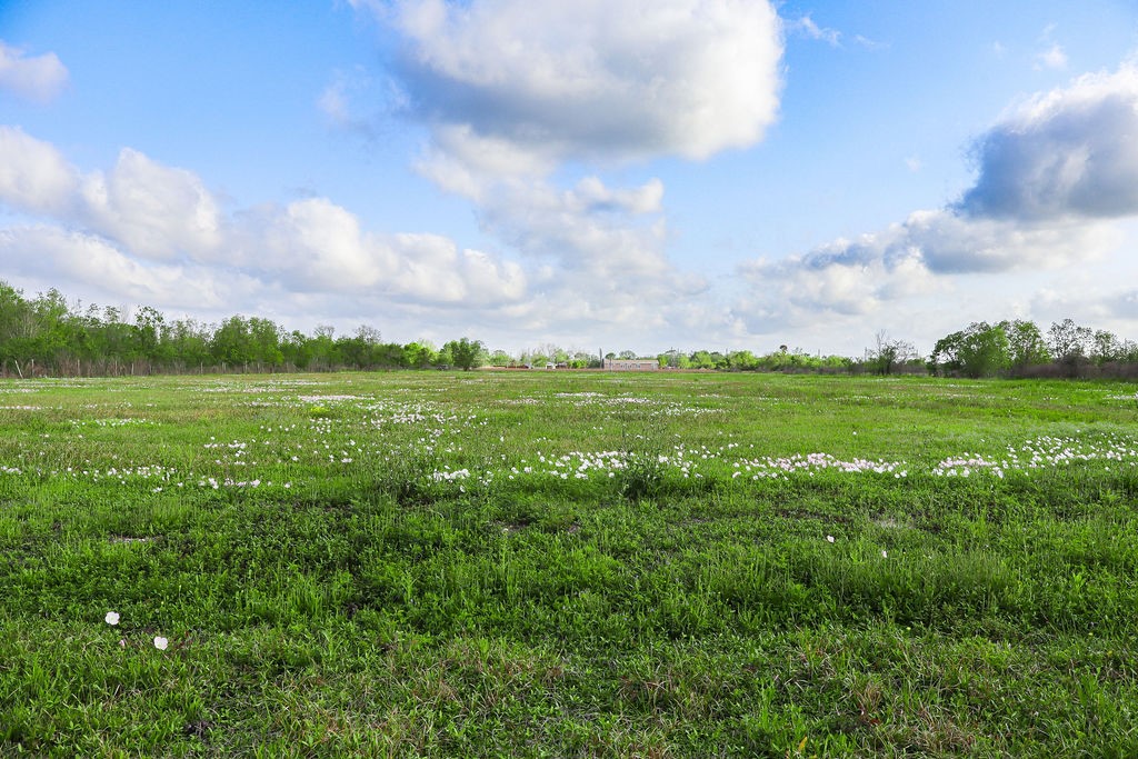 1115 Farm To Market 1462 Rosharon, TX 77583 - Photo 1 of 20