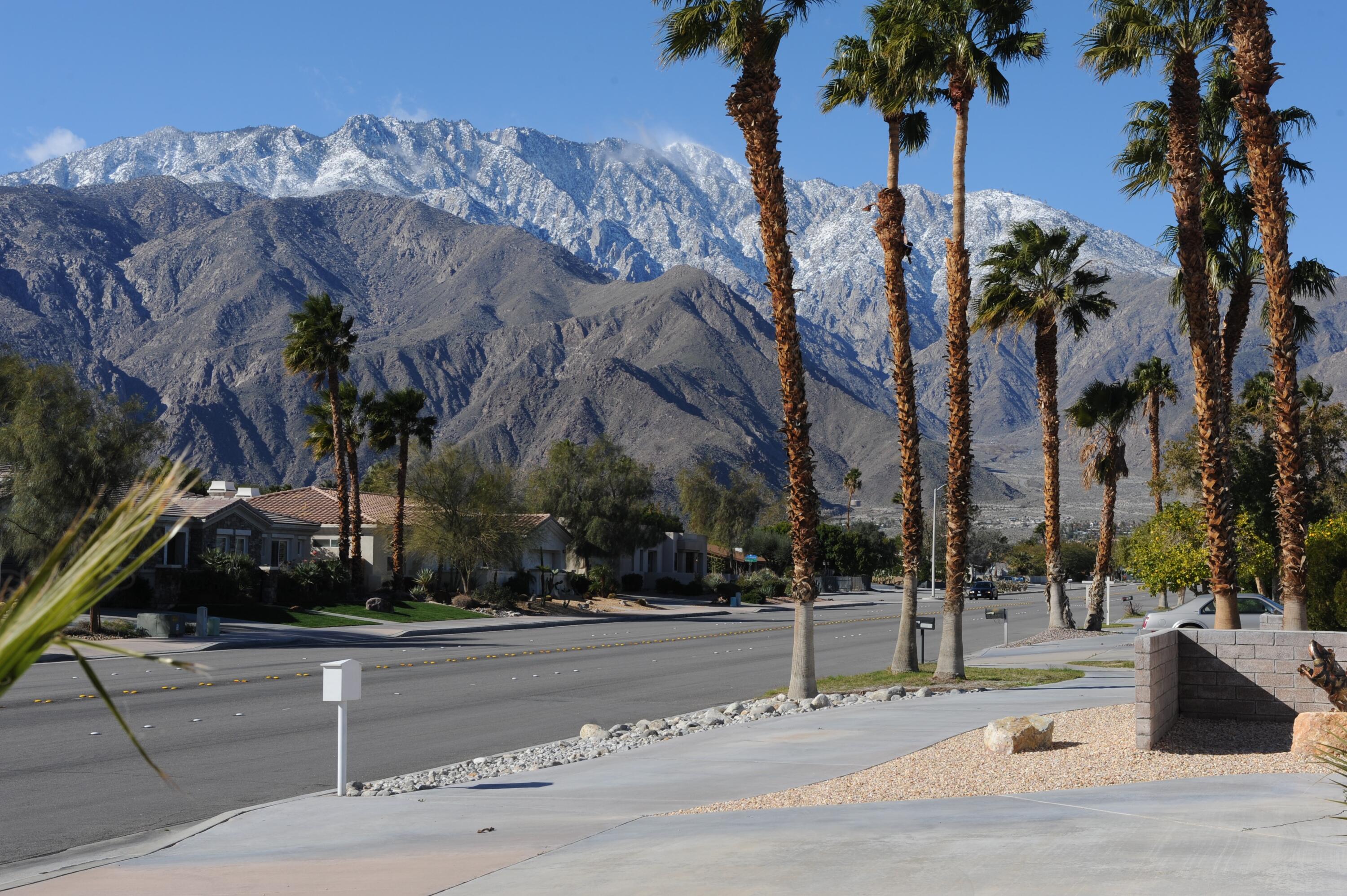 1490 East Racquet Club Road Palm Springs, CA 92262 - Photo 3 of 29 a view of a park with palm trees