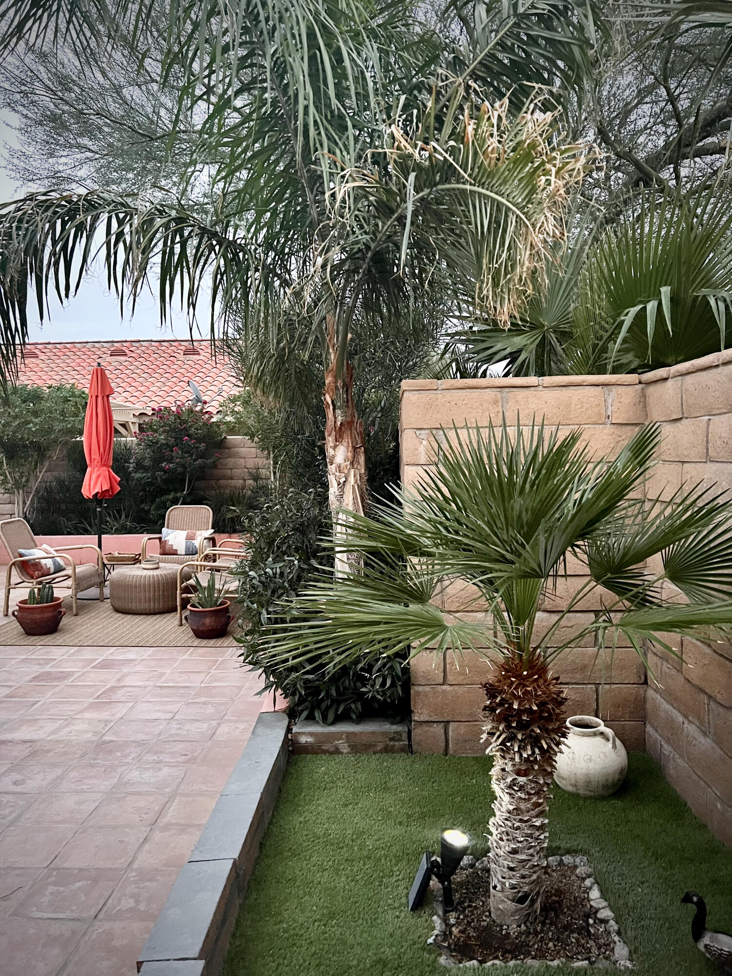 1490 East Racquet Club Road Palm Springs, CA 92262 - Photo 6 of 29 a view of a backyard with plants and a patio