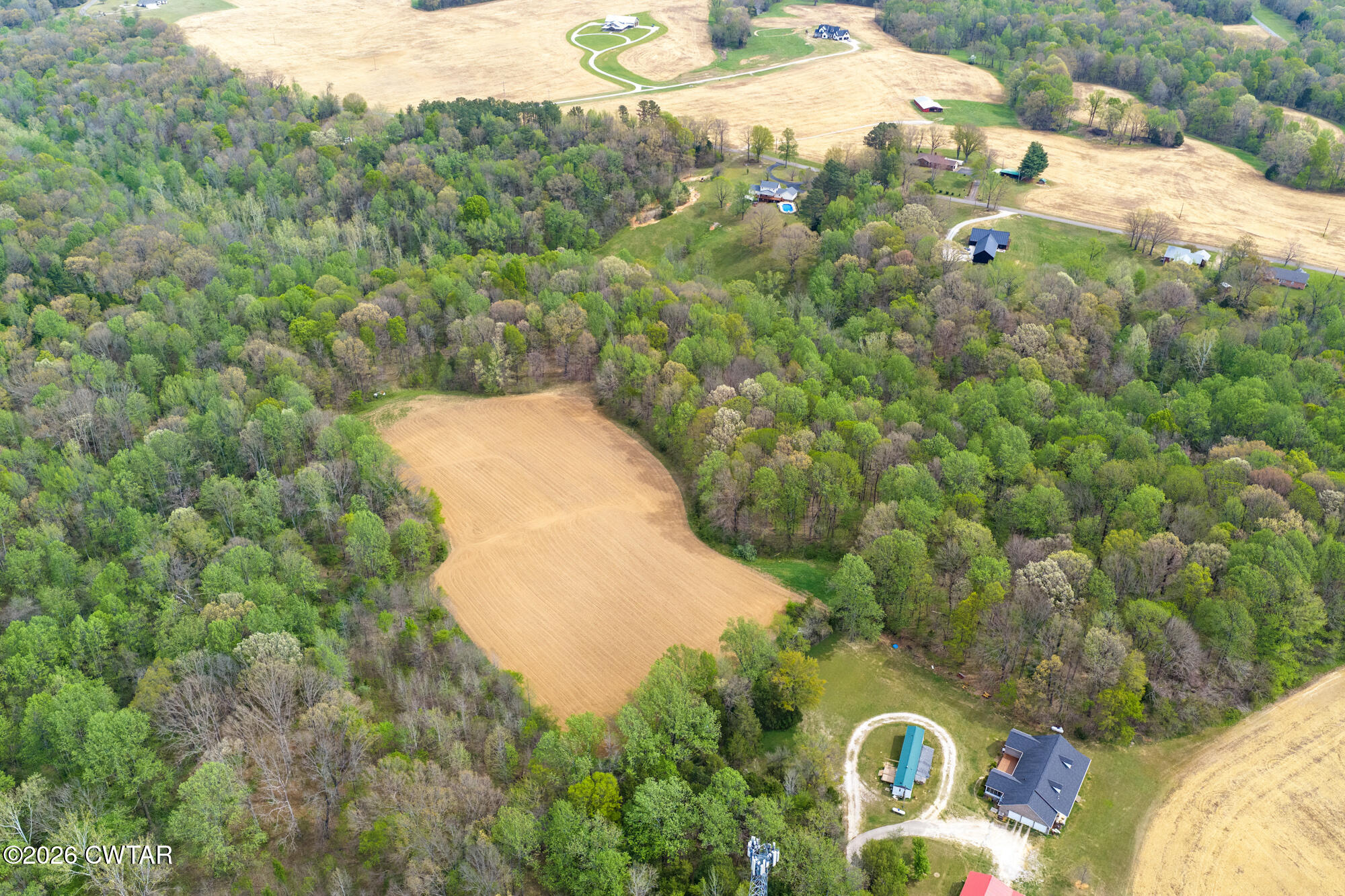 741 Independence Loop Lexington, TN 38351 - Photo 10 of 30 a view of a yard with a tree