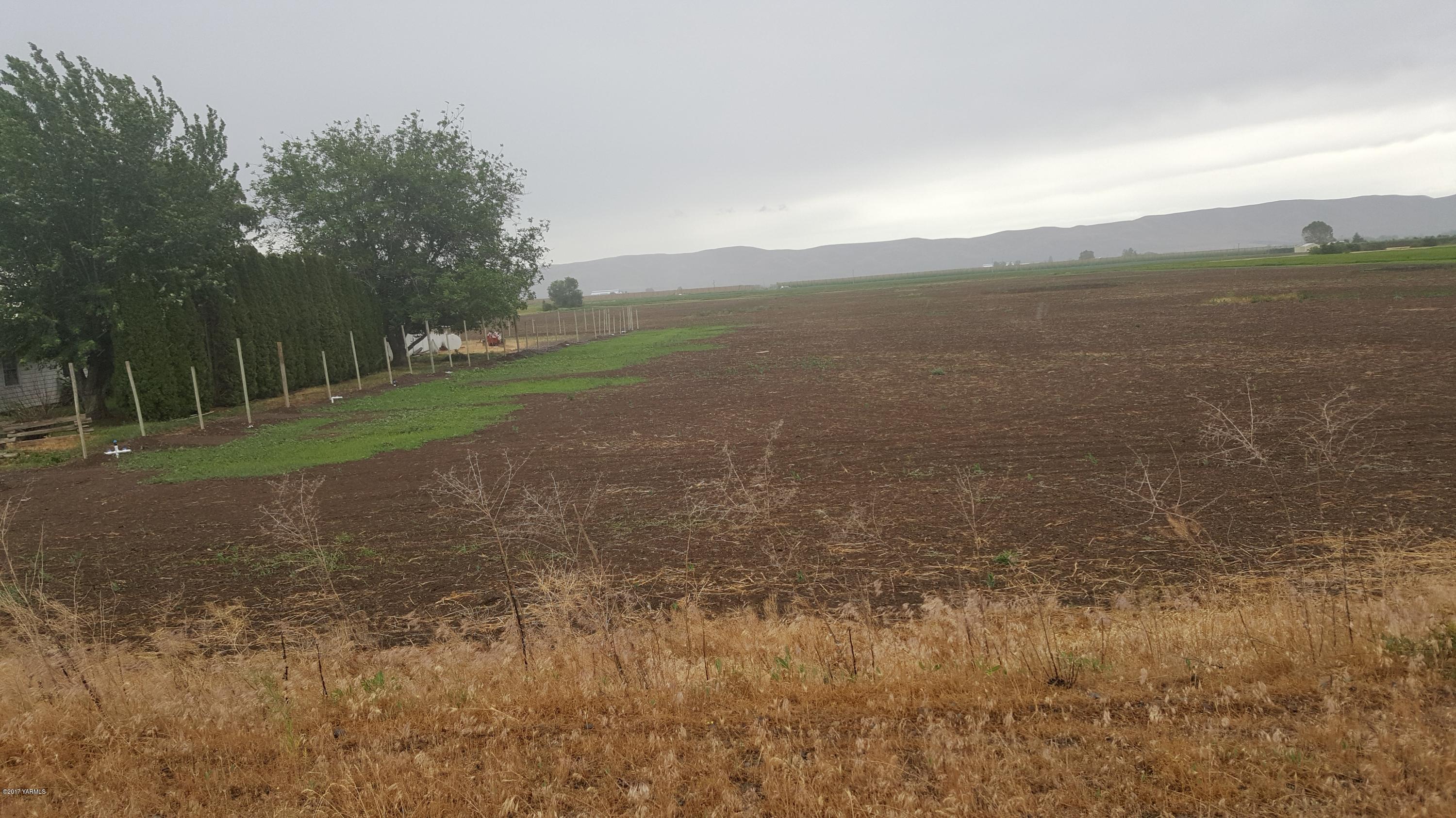 6530 Ashue Road Wapato, WA 98951 - Photo 6 of 14 a view of a field with an trees