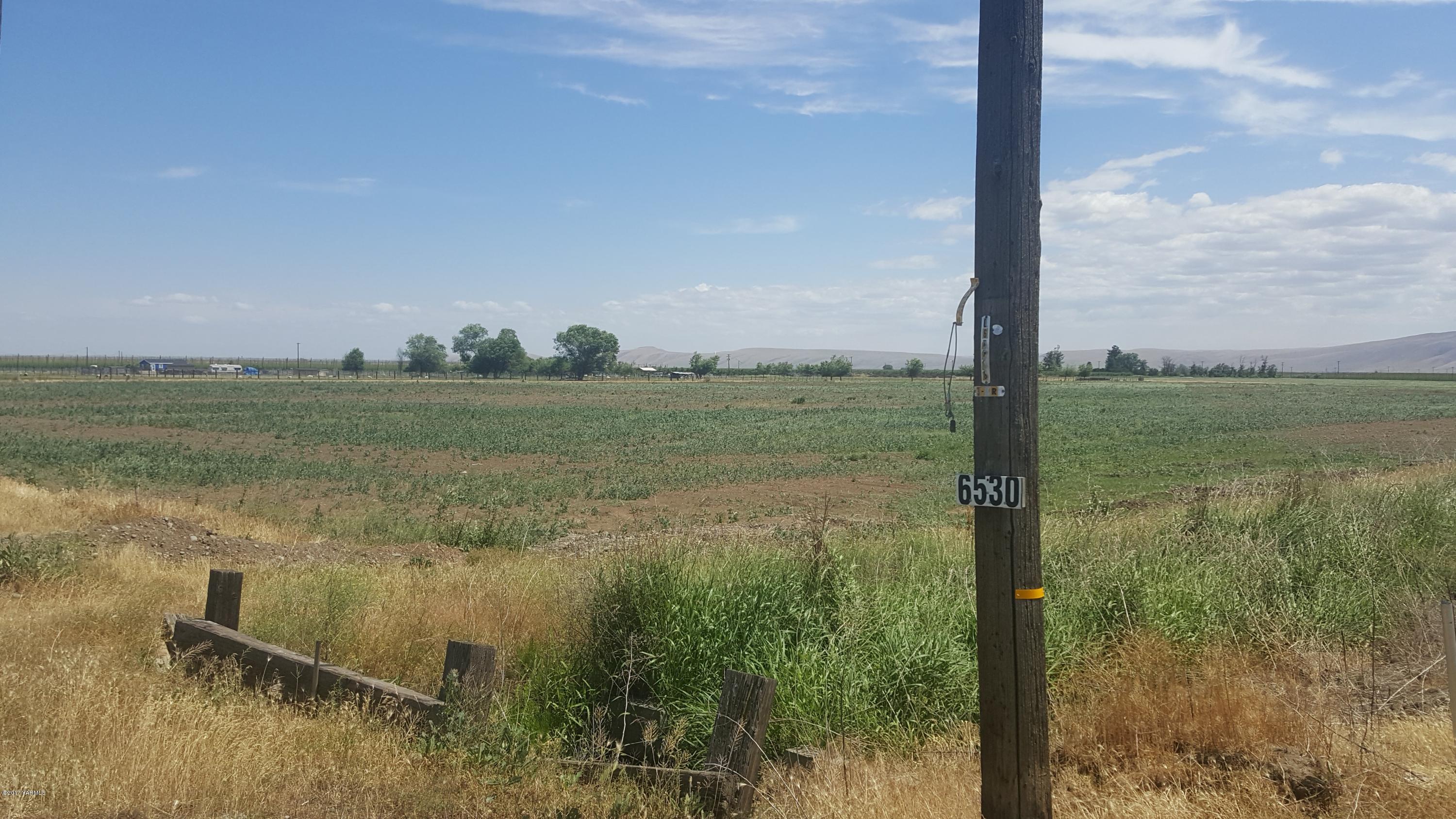 6530 Ashue Road Wapato, WA 98951 - Photo 10 of 14 a view of a lake from a yard