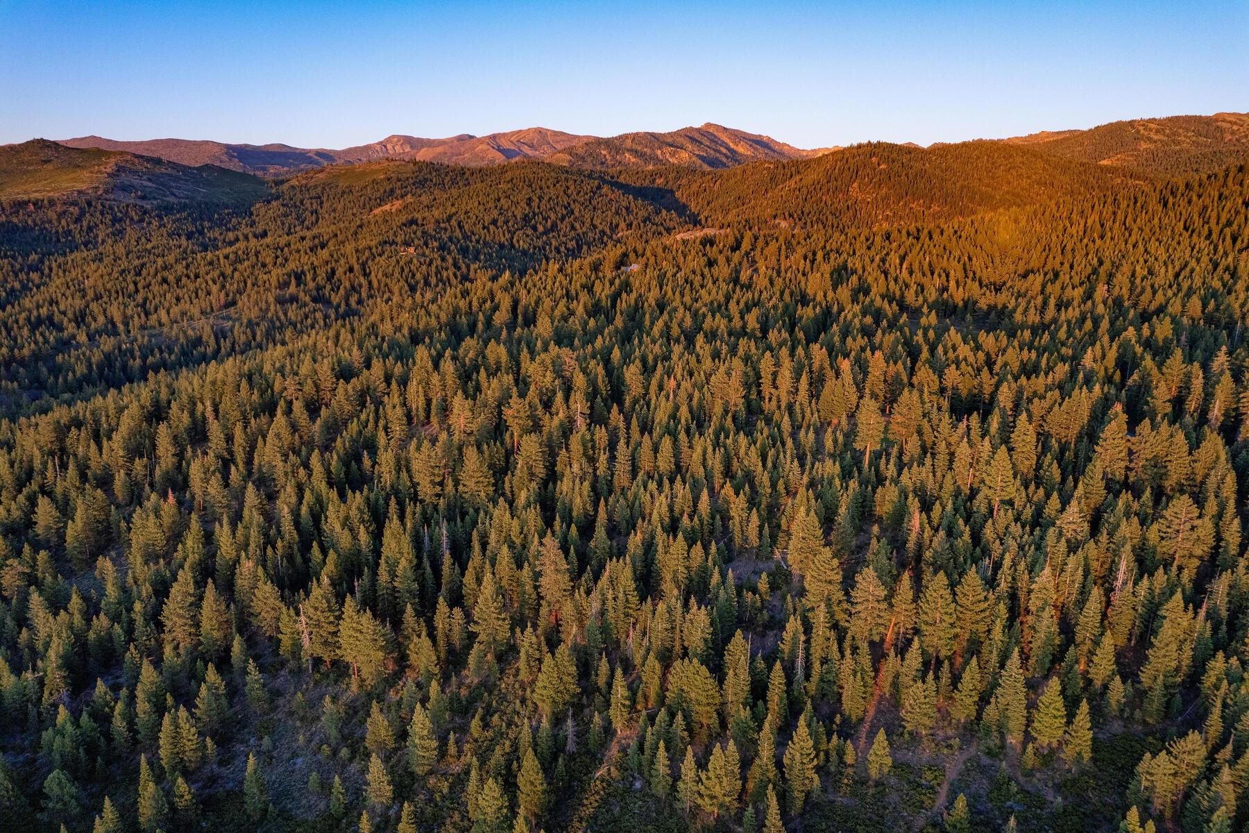 18168 La Mirada Road Truckee, CA 96161 - Photo 25 of 28 a view of a lush green field with mountains in the background