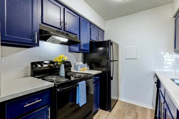 a kitchen with stainless steel appliances granite countertop a stove a refrigerator and a microwave