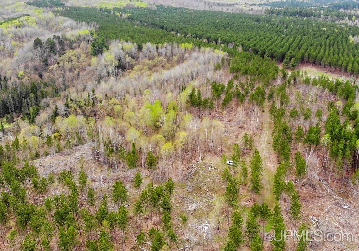 Tbd80 Tbd80 Off Baraga Plains Road Baraga, MI 49908 - Photo 10 of 25 Gallery Image 10