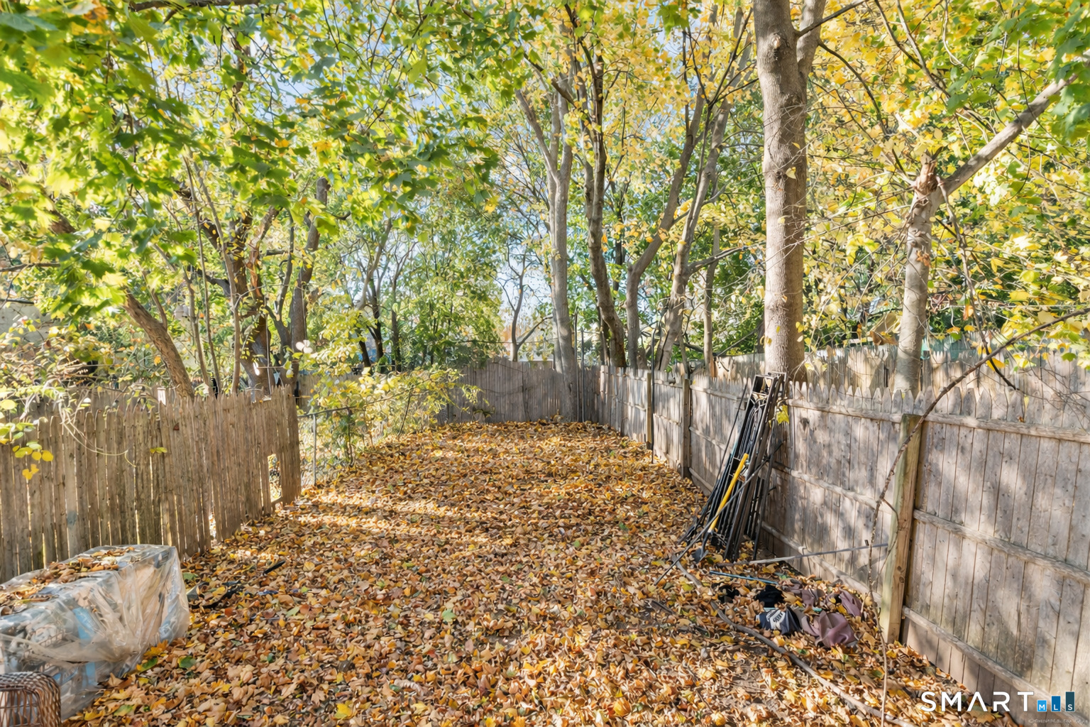 666 Orchard Street New Haven, CT 06511 - Photo 12 of 14 a backyard of a house with large trees