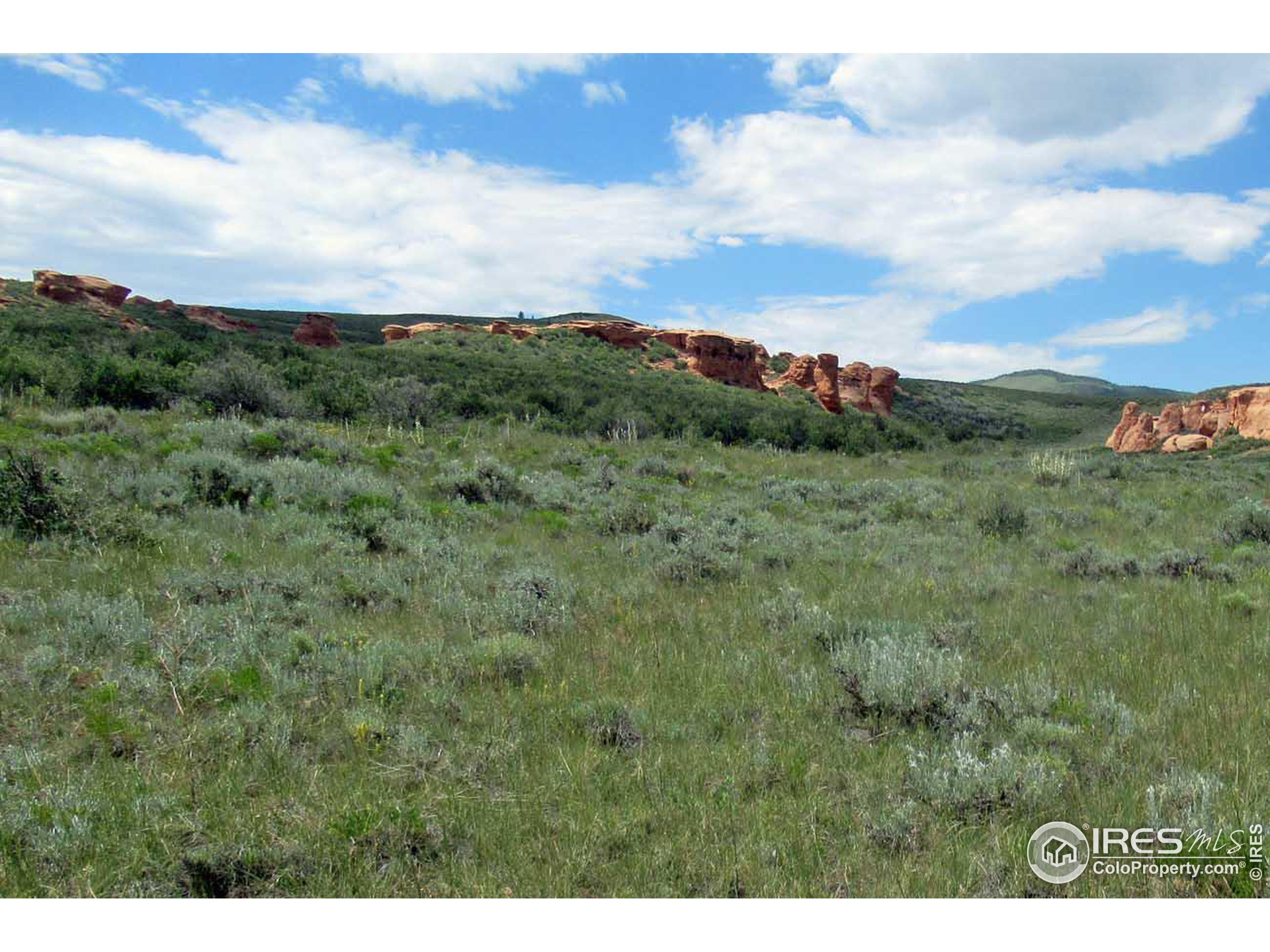 Buffalo Run Road Livermore, CO 80536 - Photo 8 of 11 Gallery Image 8
