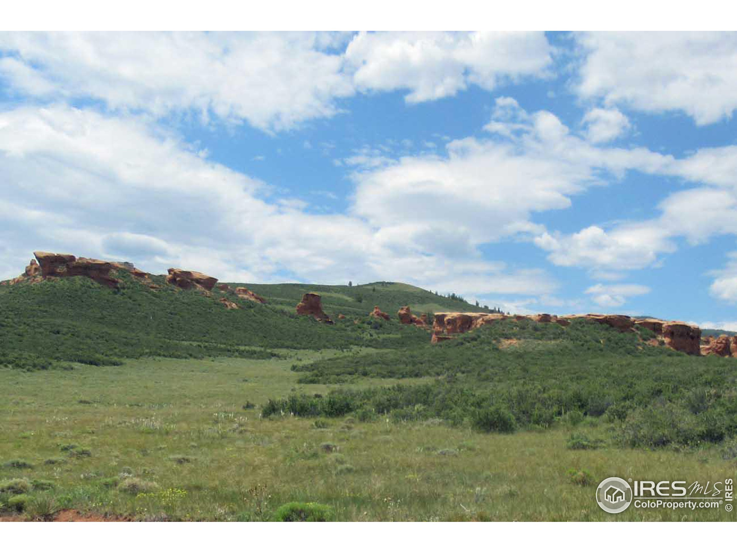 Buffalo Run Road Livermore, CO 80536 - Photo 9 of 11 Gallery Image 9