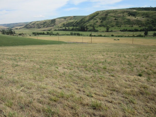 309 Patit Road Dayton, WA 99328 - Photo 1 of 5