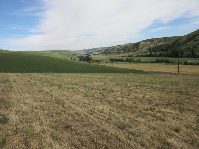 309 Patit Road Dayton, WA 99328 - Photo 2 of 5