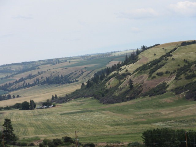 309 Patit Road Dayton, WA 99328 - Photo 3 of 5
