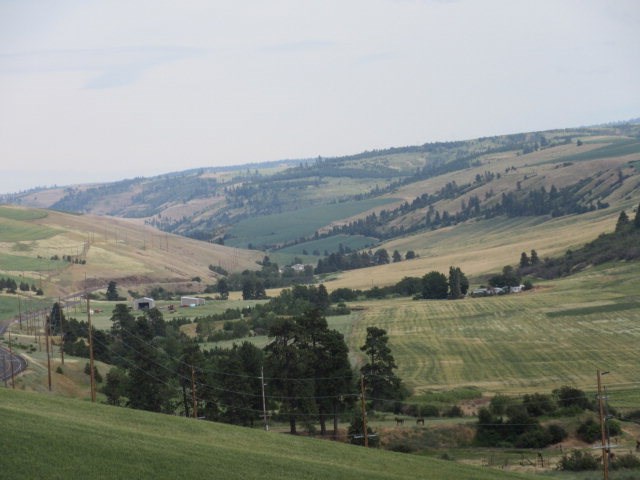 309 Patit Road Dayton, WA 99328 - Photo 4 of 5