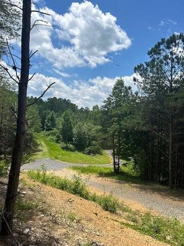 5 Owl Hollow Road Southwest McDonald, TN 37353 - Photo 22 of 32