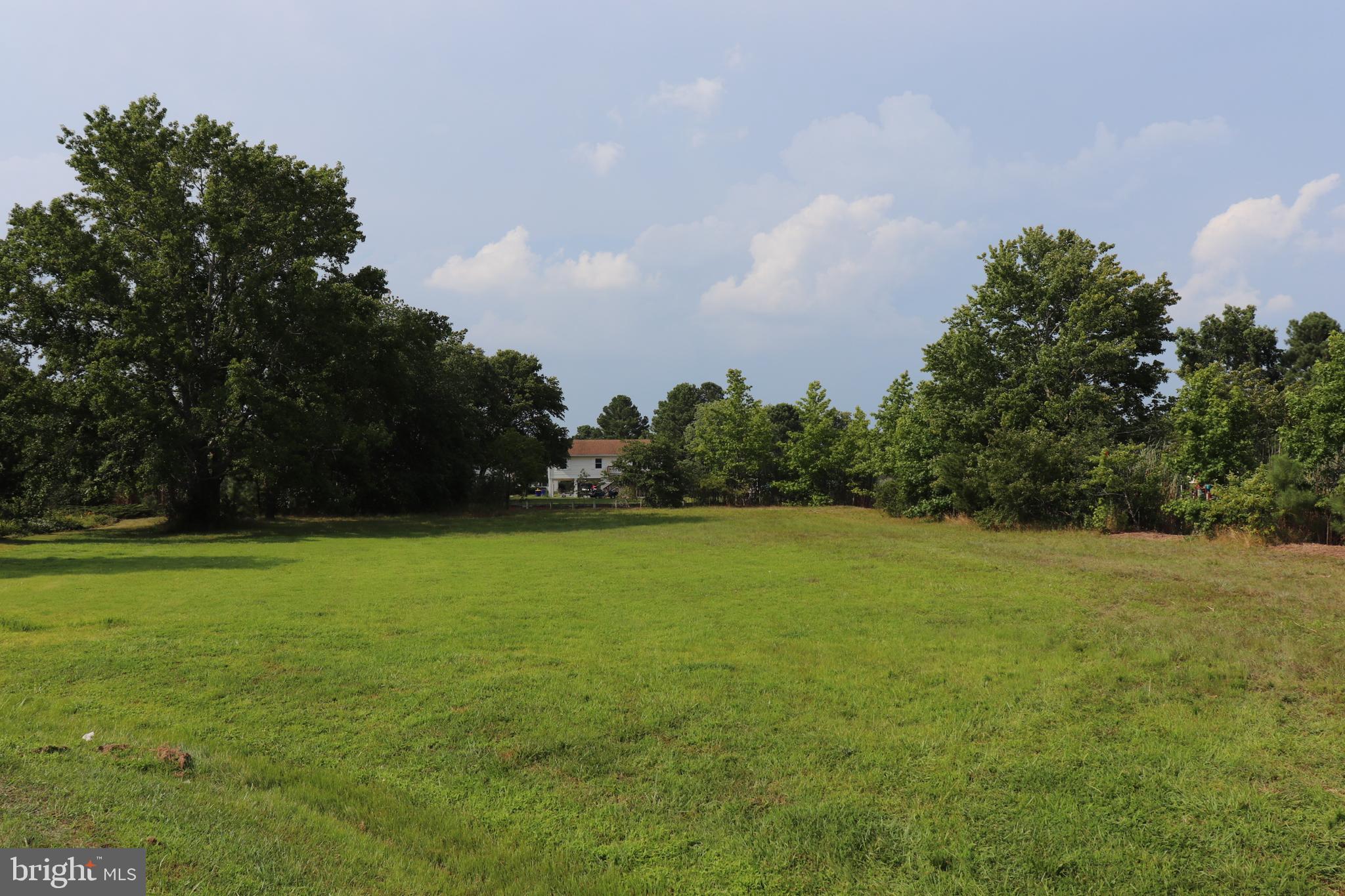 0 Salt Point Road Bishopville, MD 21813 - Photo 8 of 19 Gallery Image 8
