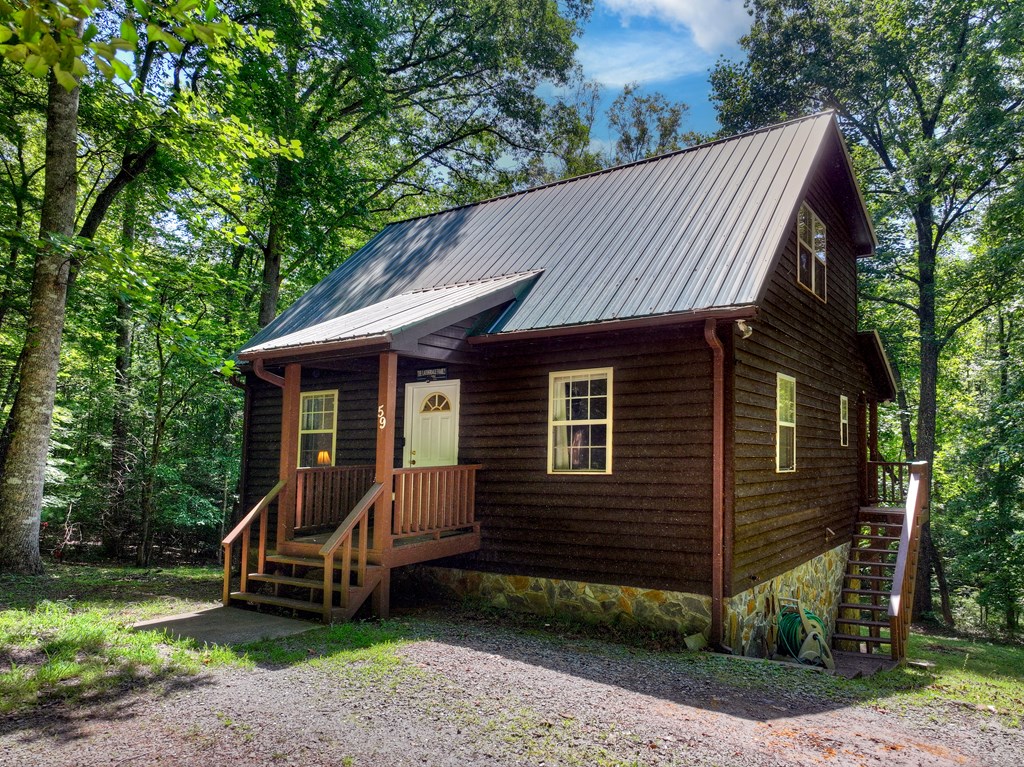 59 Oak Lane Blue Ridge, GA 30513 - Photo 2 of 38