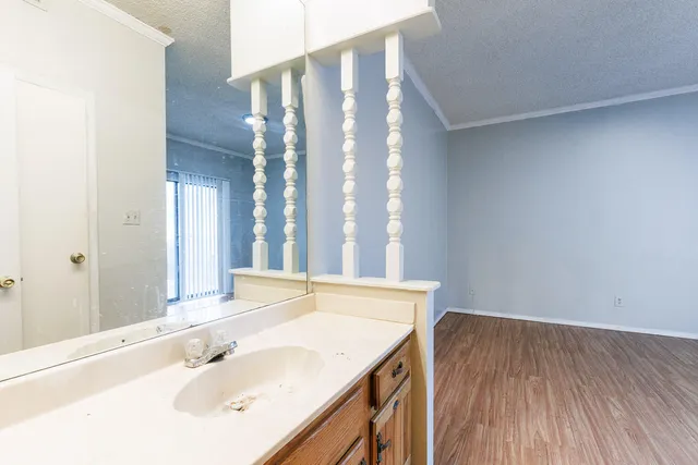 a bathroom with a sink and a large mirror