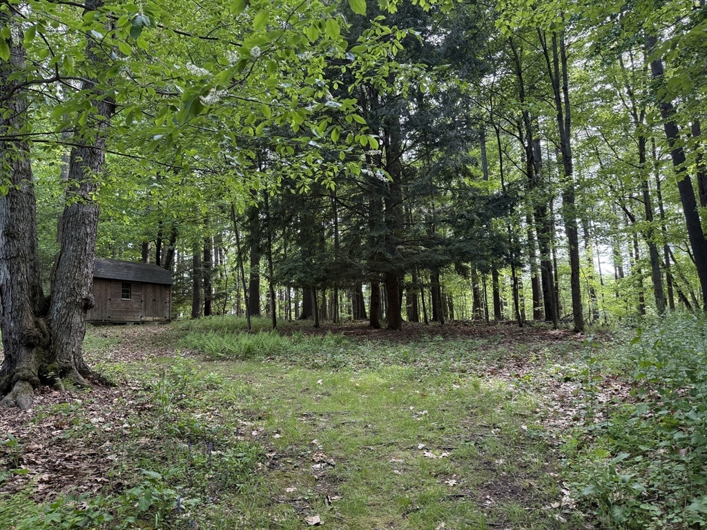 371 Longley Road Groton, MA 01450 - Photo 30 of 33 a view of outdoor space with trees all around