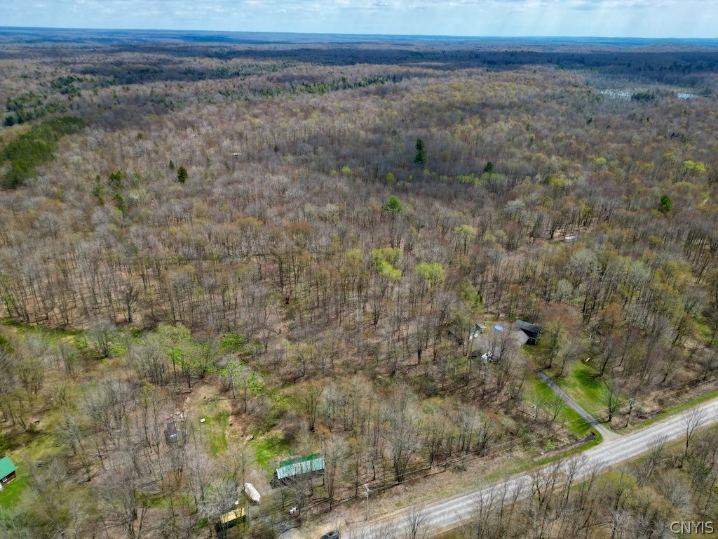 168 Carpenter Road Orwell, NY 13144 - Photo 42 of 43