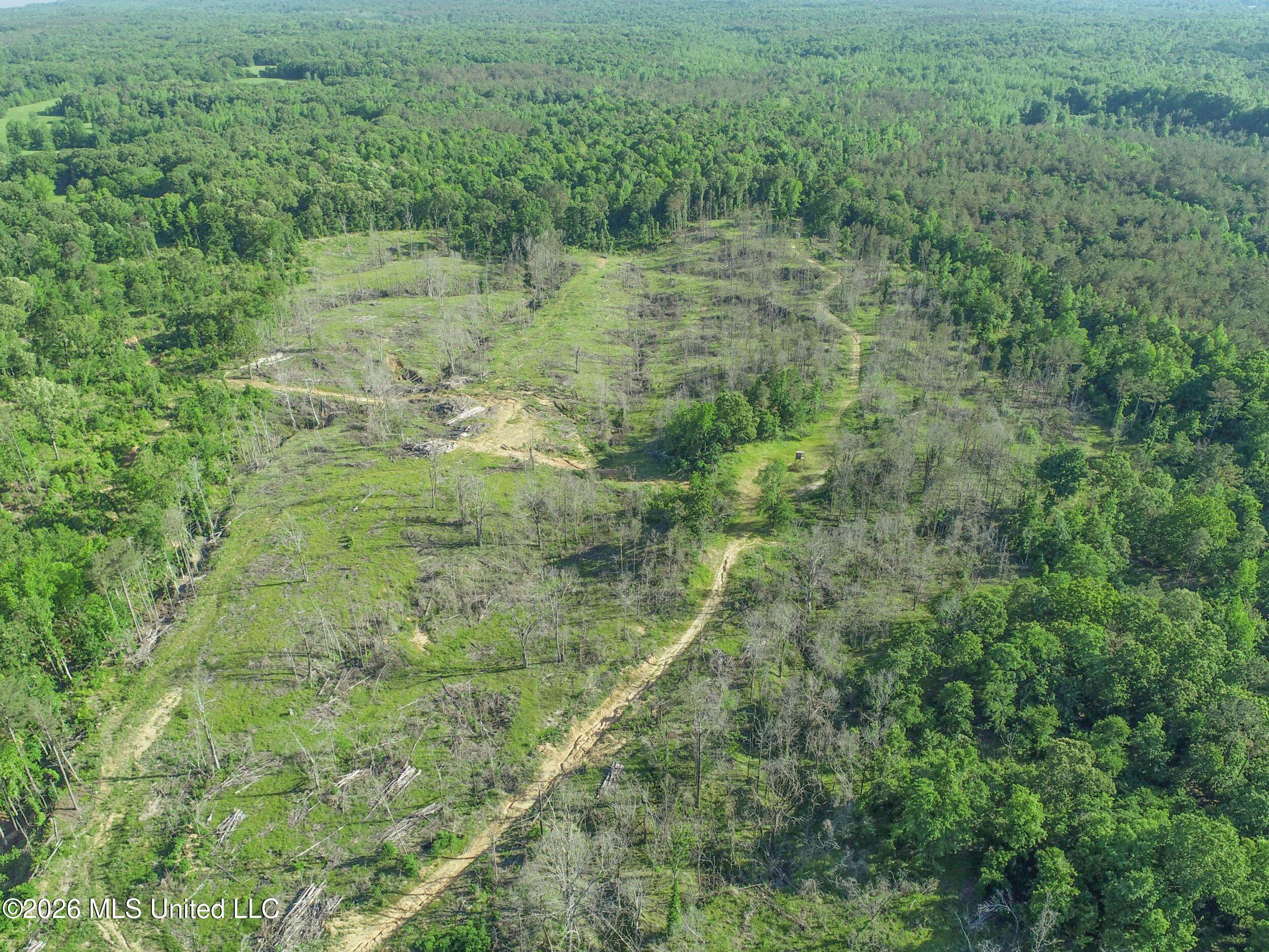 Wayne Massie Road Como, MS 38619 - Photo 30 of 184 3ctwmrd14