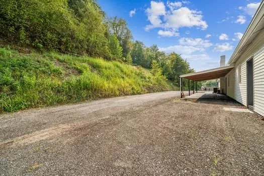 a view of a house with backyard and a tree