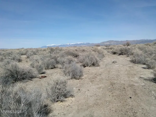 a view of a dry field with trees in the background