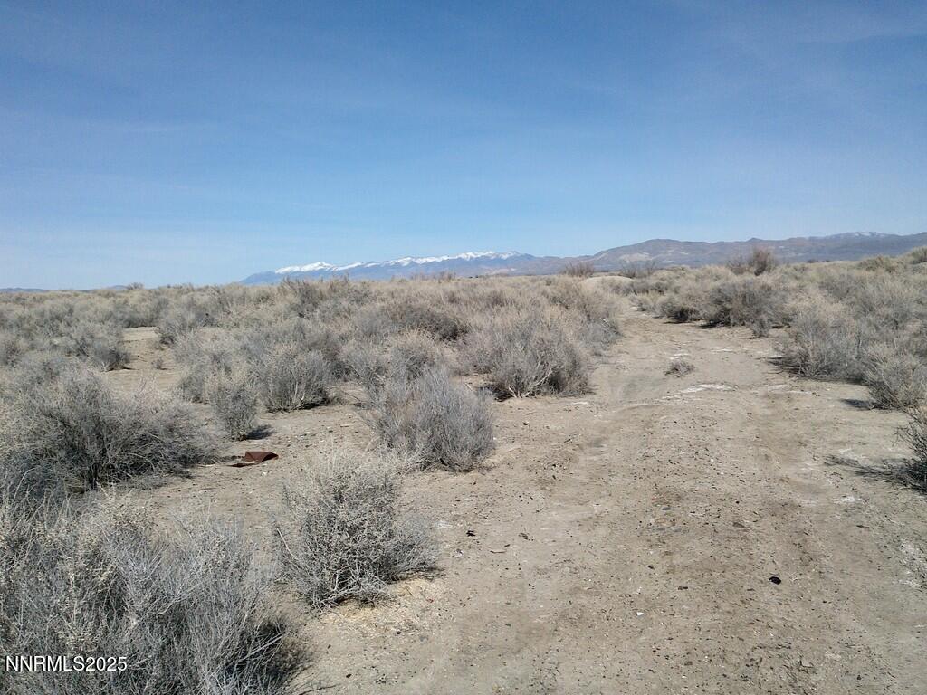 30 7-381-08 Lovelock, NV 89419 - Photo 20 of 31 a view of a dry field with trees in the background