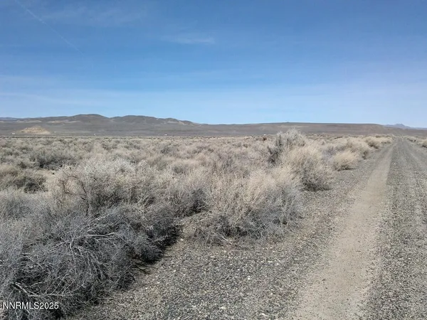 a view of a dry yard with mountains in the background