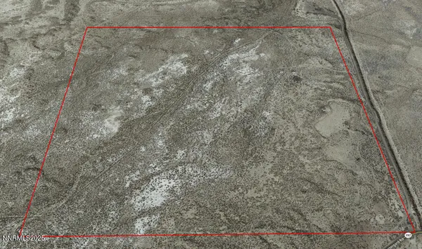 a view of a dry yard