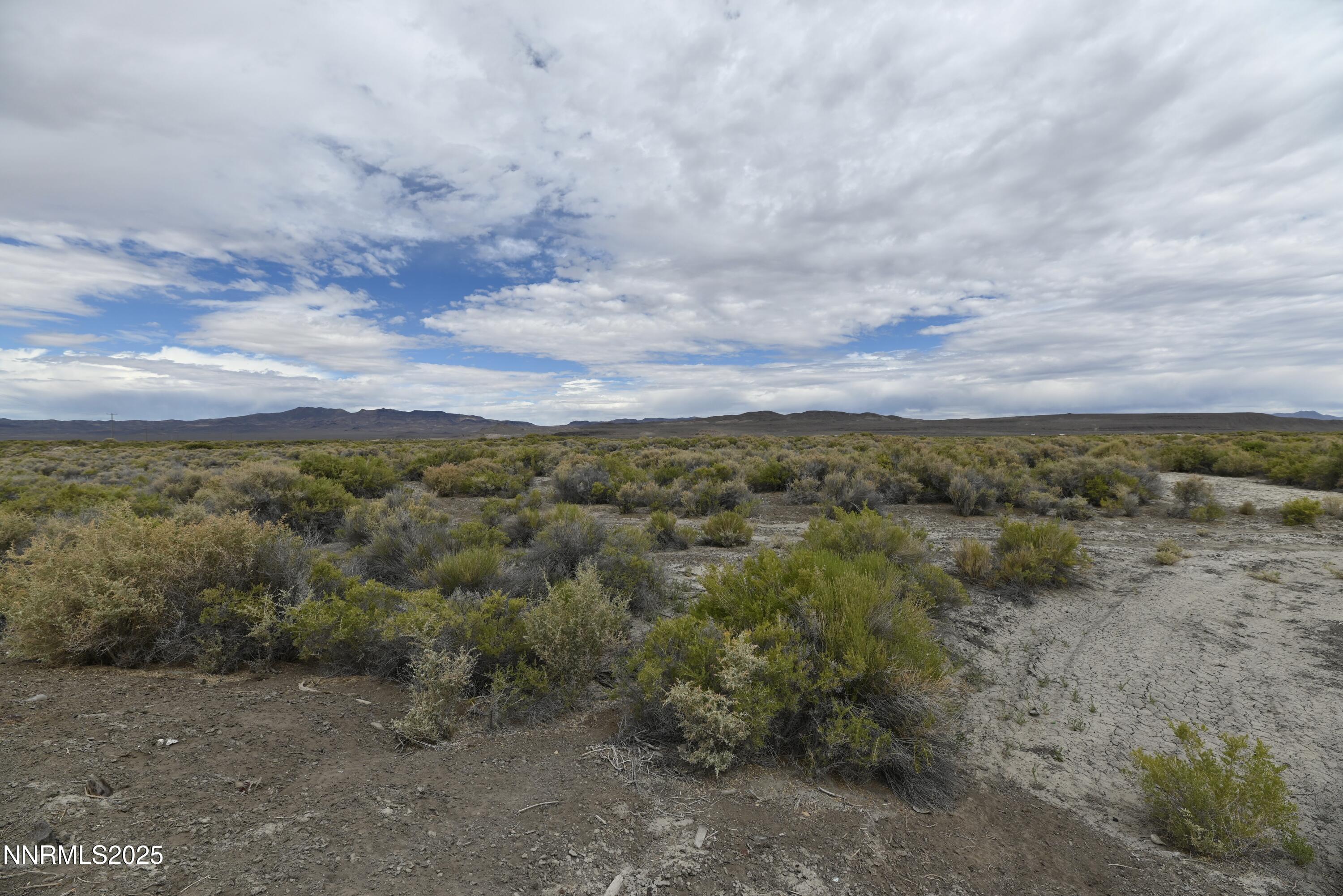 30 7-381-08 Lovelock, NV 89419 - Photo 28 of 31 a view of a dry yard with lots of trees