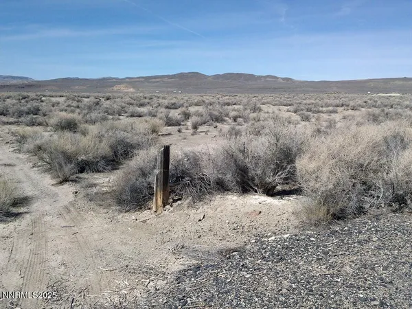 a view of a dry yard with mountains in the background