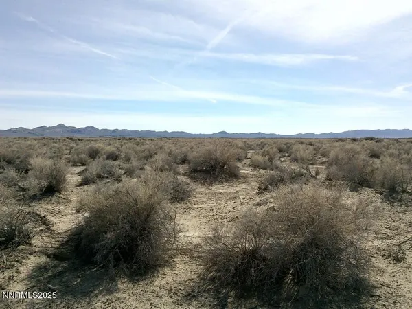 a view of a dry yard with mountains in the background