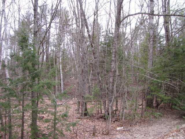 0 Huntington Hill Road Litchfield, ME 04350 - Photo 1 of 3 Land/Lot.