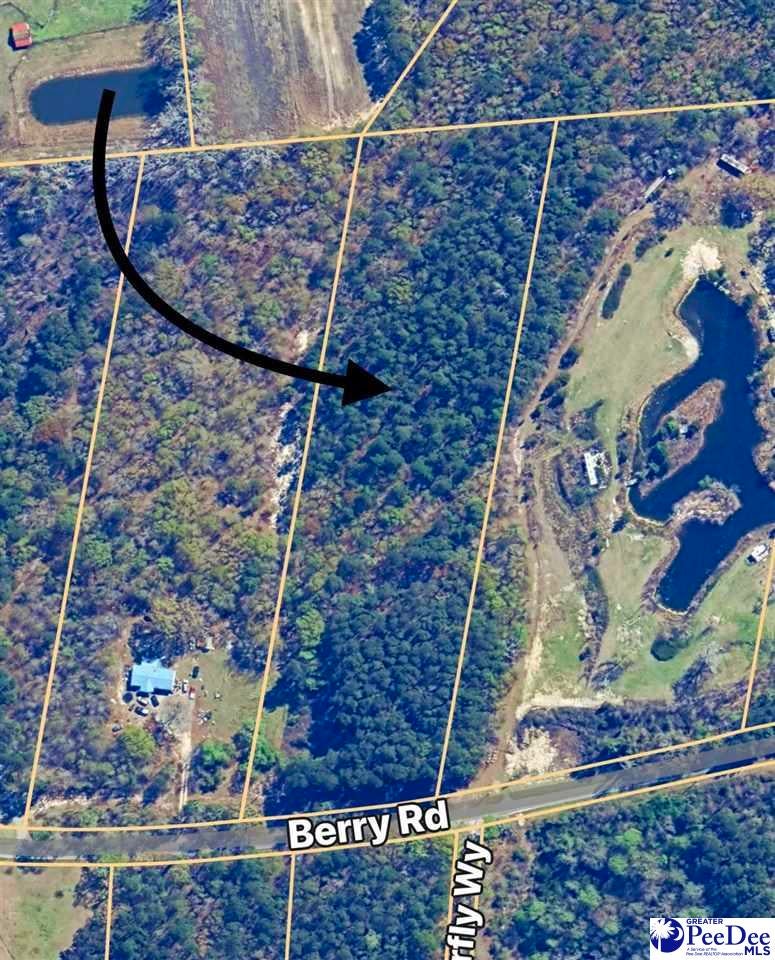 Lot 37 Berry Road Latta, SC 29565 - Photo 4 of 7 Gallery Image 4