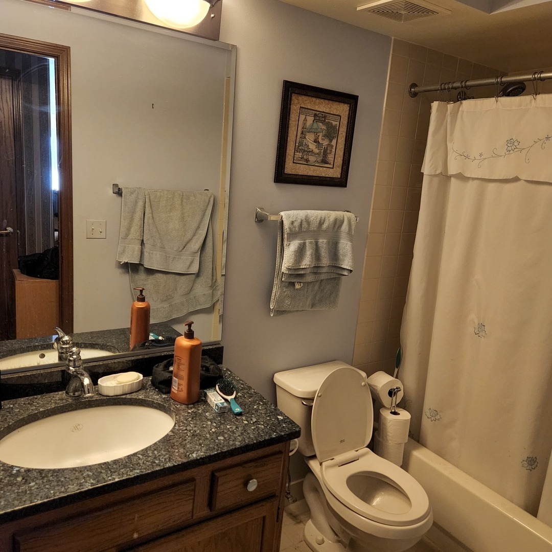 6441 West Warner Avenue, Unit 506 Chicago, IL 60634 - Photo 14 of 15 a bathroom with a granite countertop toilet a sink and a mirror