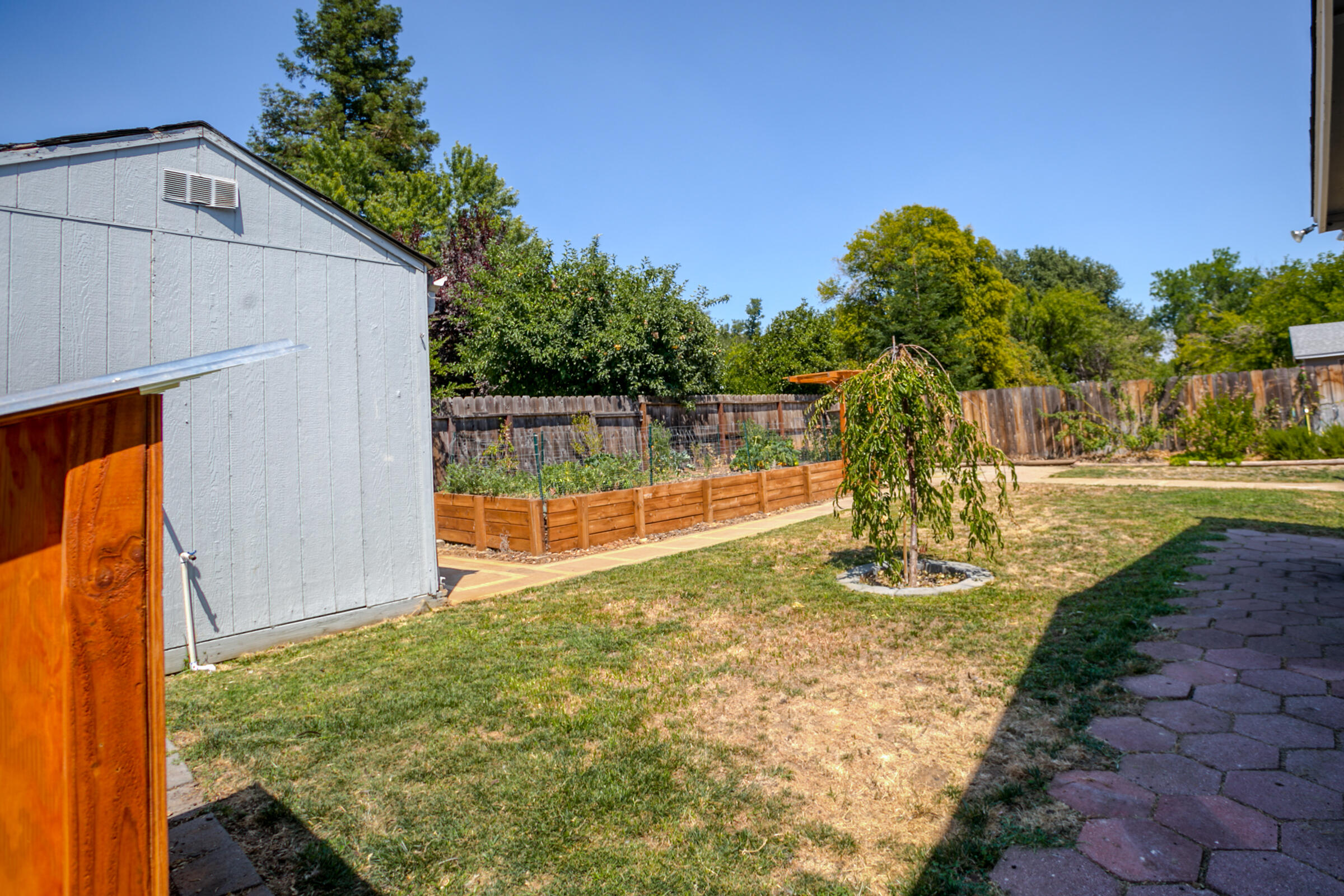 2498 Saturn Redding, CA 96002 - Photo 38 of 40 a view of a back yard