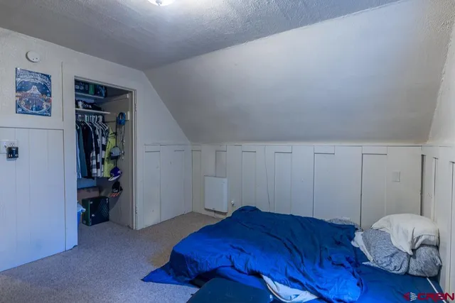 a bedroom with a bed and a closet