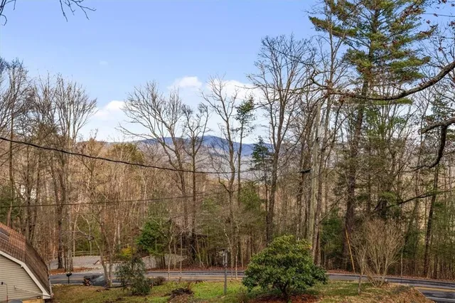a view of a forest filled with trees