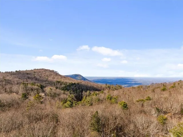 a view of a dry yard with mountains in the background