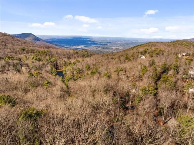a view of a city with mountains in the background
