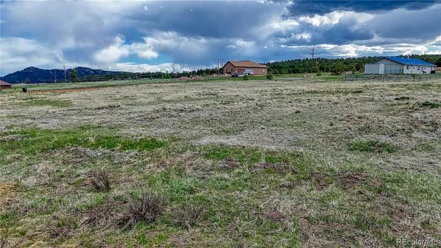 $46,500 | 315 Empire Road, Florissant, CO 80816